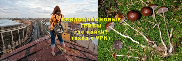 марки nbome Бородино