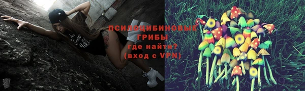 стафф Бронницы