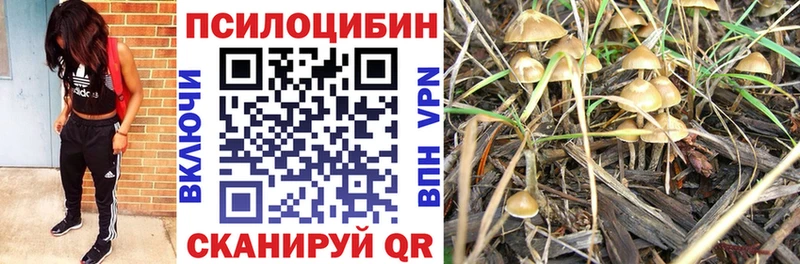 Галлюциногенные грибы GOLDEN TEACHER  Купить закладки  Саянск 